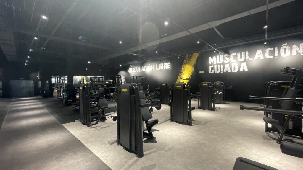 Reforma integral de local comercial en Granada